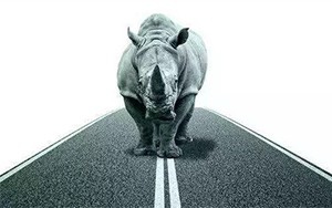 臣通觀點丨小心，中國產(chǎn)業(yè)園區(qū)的“灰犀?！庇謥砹?！